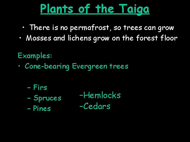 Plants of the Taiga • There is no permafrost, so trees can grow •