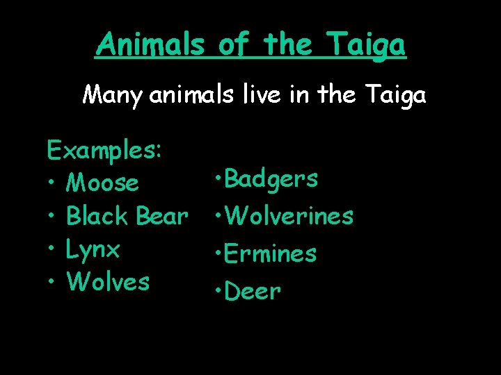 Animals of the Taiga Many animals live in the Taiga Examples: • Moose •