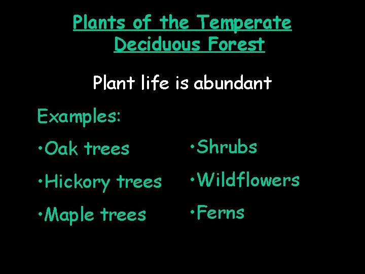 Plants of the Temperate Deciduous Forest Plant life is abundant Examples: • Oak trees