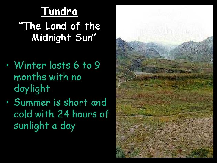 Tundra “The Land of the Midnight Sun” • Winter lasts 6 to 9 months
