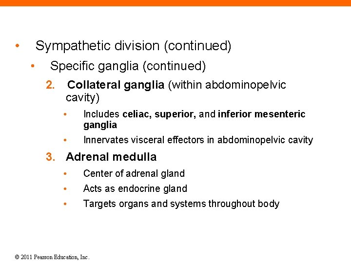  • Sympathetic division (continued) • Specific ganglia (continued) 2. Collateral ganglia (within abdominopelvic