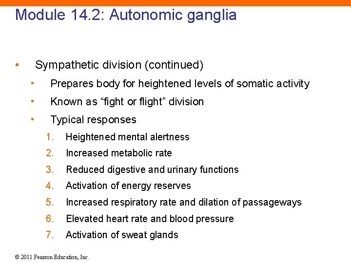 Module 14. 2: Autonomic ganglia • Sympathetic division (continued) • Prepares body for heightened