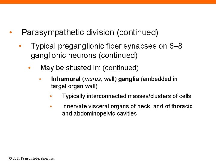  • Parasympathetic division (continued) • Typical preganglionic fiber synapses on 6– 8 ganglionic