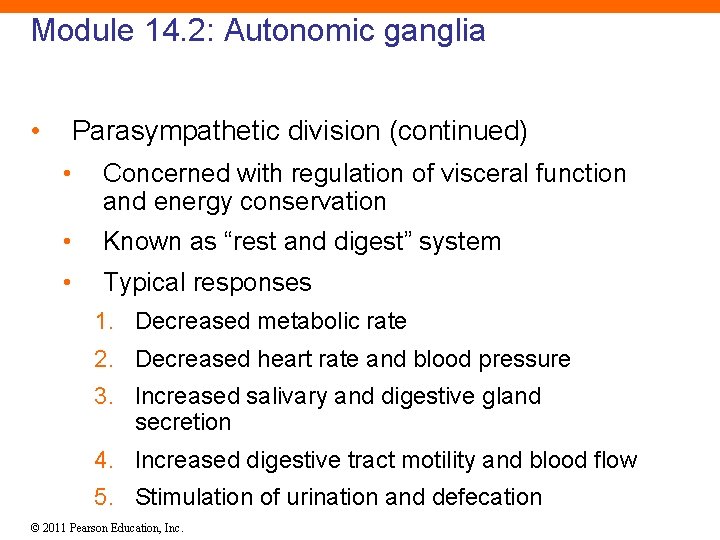 Module 14. 2: Autonomic ganglia • Parasympathetic division (continued) • Concerned with regulation of