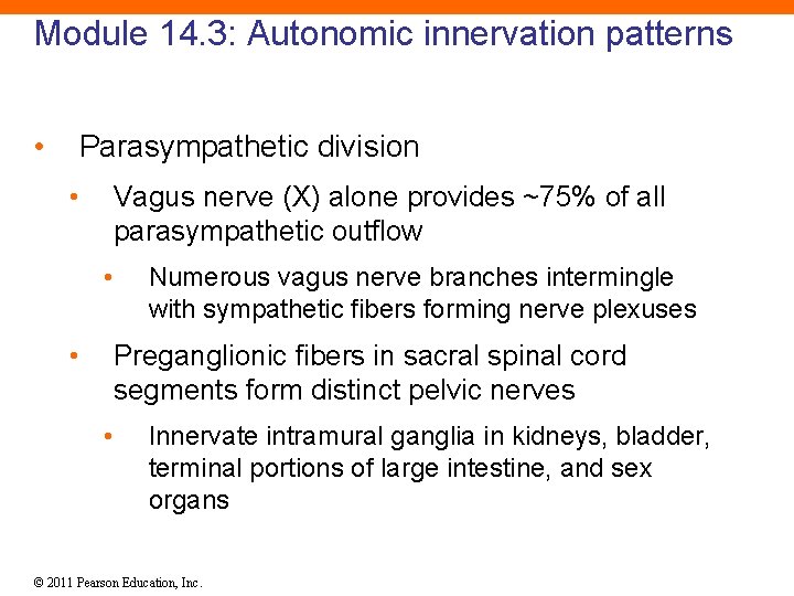 Module 14. 3: Autonomic innervation patterns • Parasympathetic division • Vagus nerve (X) alone