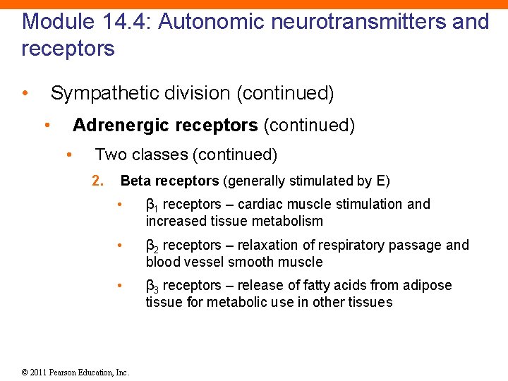 Module 14. 4: Autonomic neurotransmitters and receptors • Sympathetic division (continued) • Adrenergic receptors