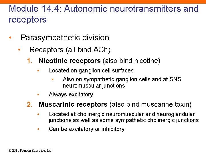 Module 14. 4: Autonomic neurotransmitters and receptors • Parasympathetic division • Receptors (all bind