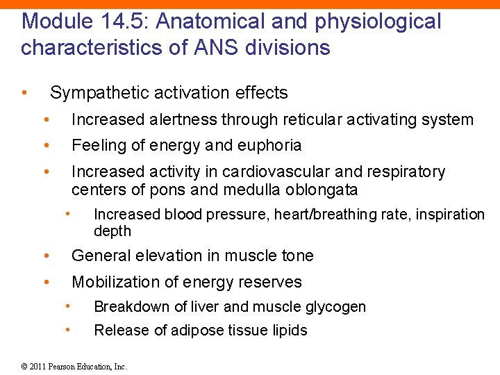 Module 14. 5: Anatomical and physiological characteristics of ANS divisions • Sympathetic activation effects