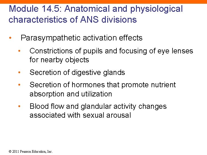 Module 14. 5: Anatomical and physiological characteristics of ANS divisions • Parasympathetic activation effects