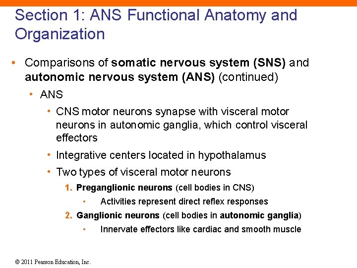 Section 1: ANS Functional Anatomy and Organization • Comparisons of somatic nervous system (SNS)