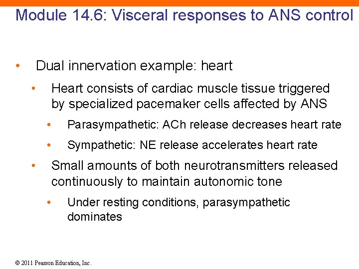 Module 14. 6: Visceral responses to ANS control • Dual innervation example: heart •