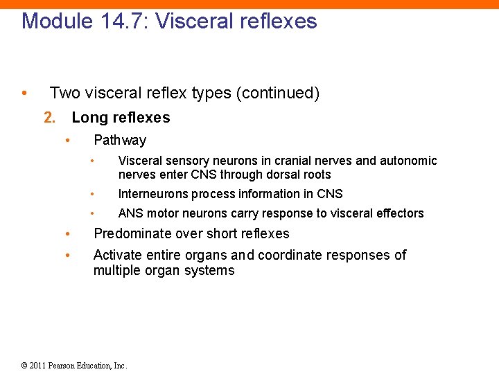 Module 14. 7: Visceral reflexes • Two visceral reflex types (continued) 2. Long reflexes