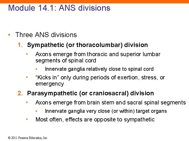 Module 14. 1: ANS divisions • Three ANS divisions 1. Sympathetic (or thoracolumbar) division