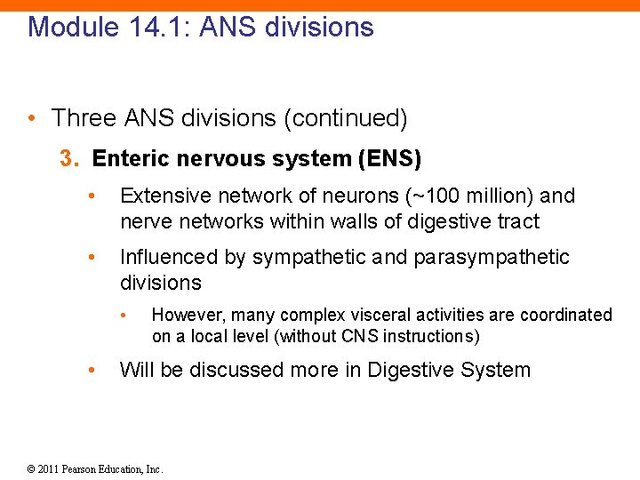 Module 14. 1: ANS divisions • Three ANS divisions (continued) 3. Enteric nervous system