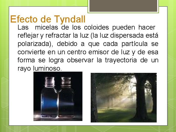 Efecto de Tyndall Las micelas de los coloides pueden hacer reflejar y refractar la