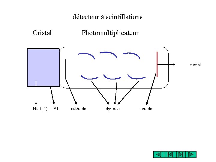 détecteur à scintillations Cristal Photomultiplicateur signal Na. I(Tl) Al cathode dynodes anode 