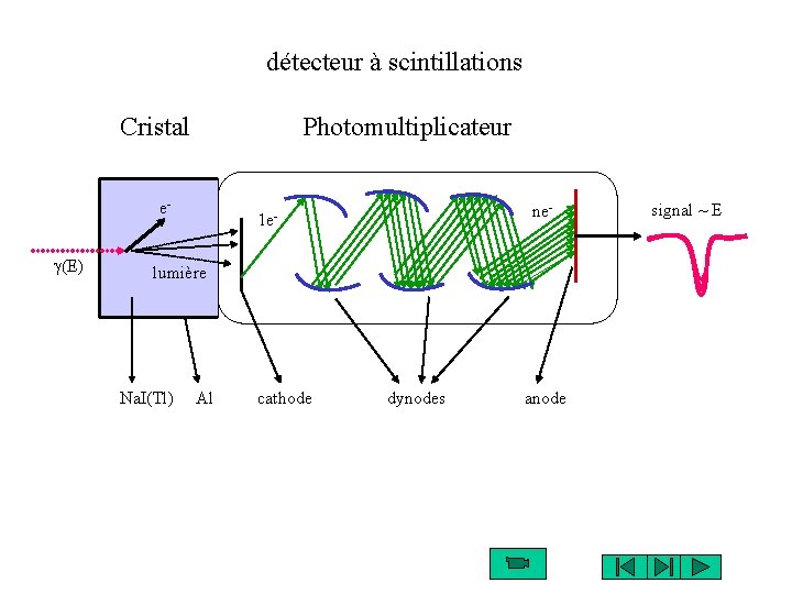 détecteur à scintillations Cristal Photomultiplicateur eg(E) 1 e- ne- lumière Na. I(Tl) Al cathode