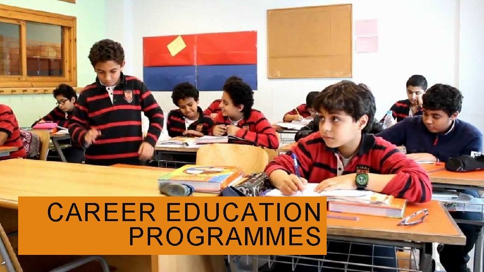 CAREER EDUCATION PROGRAMMES 