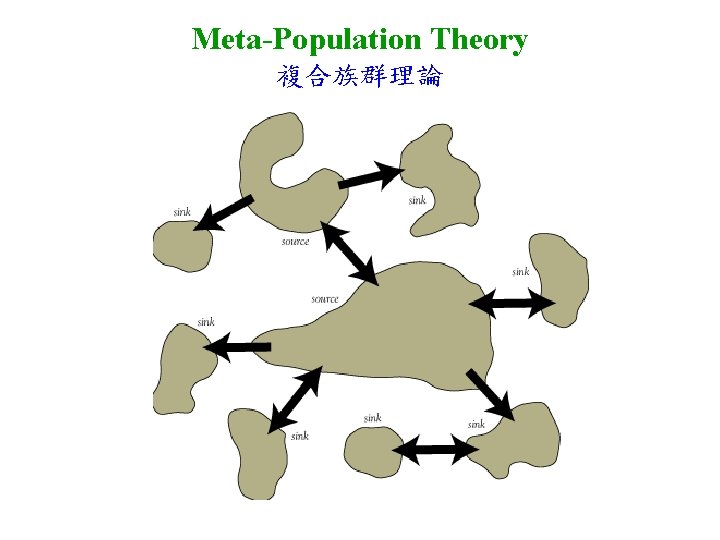 Meta-Population Theory 複合族群理論 