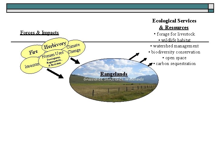 Ecological Services & Resources • forage for livestock Forces & Impacts Fire on Invasi