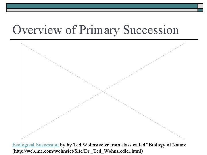 Overview of Primary Succession Ecological Succession by by Ted Wohnsiedler from class called “Biology