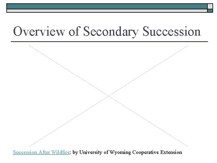 Overview of Secondary Succession After Wildfire: by University of Wyoming Cooperative Extension 
