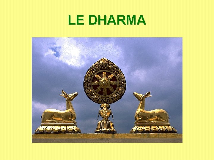 LE DHARMA LE DHARMA