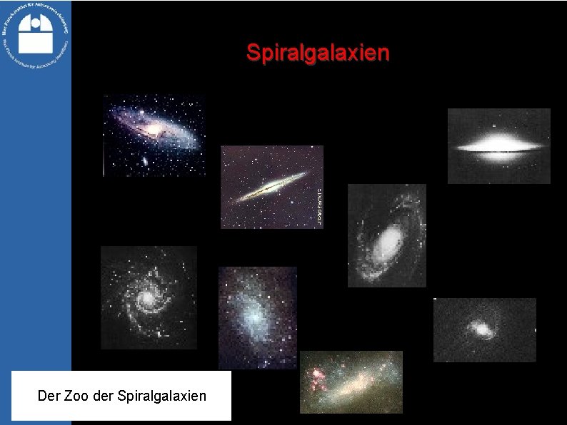 Spiralgalaxien Der Zoo der Spiralgalaxien 