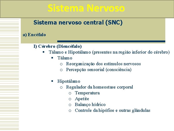 Sistema Nervoso Sistema nervoso central (SNC) a) Encéfalo I) Cérebro (Diencéfalo) § Tálamo e