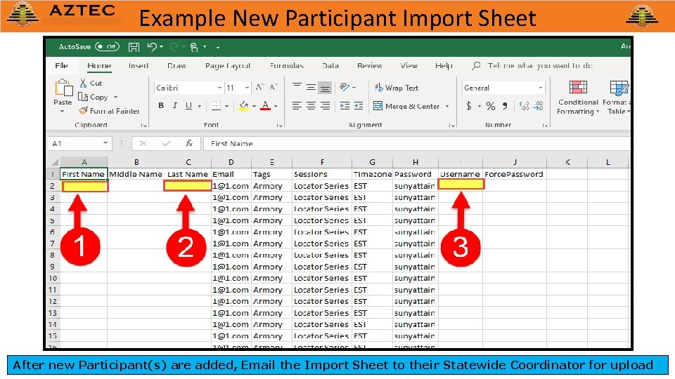 Example New Participant Import Sheet After new Participant(s) are added, Email the Import Sheet