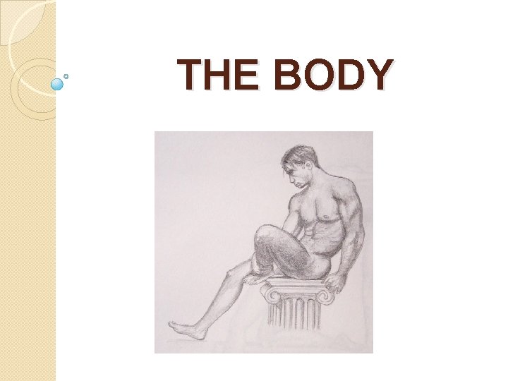 THE BODY 