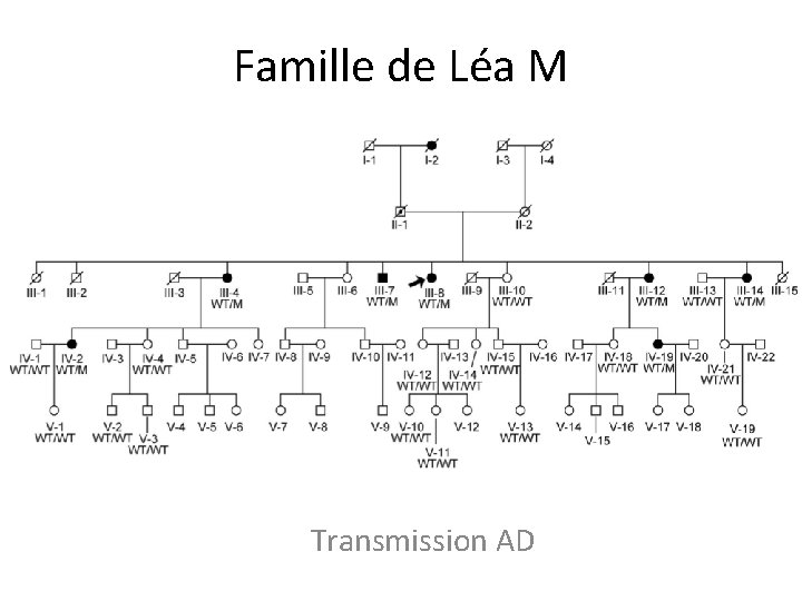 Famille de Léa M Transmission AD Famille de Léa M Transmission AD