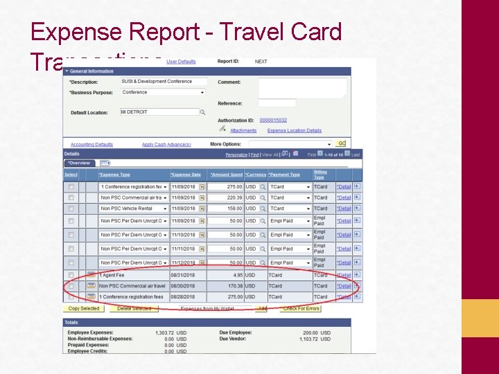 Expense Report - Travel Card Transactions 