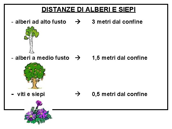 DISTANZE DI ALBERI E SIEPI - alberi ad alto fusto - alberi a medio