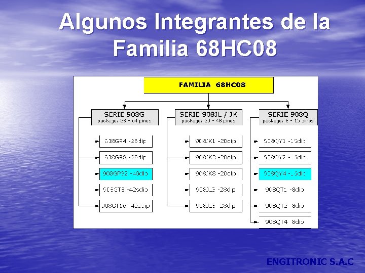 Algunos Integrantes de la Familia 68 HC 08 ENGITRONIC S. A. C 