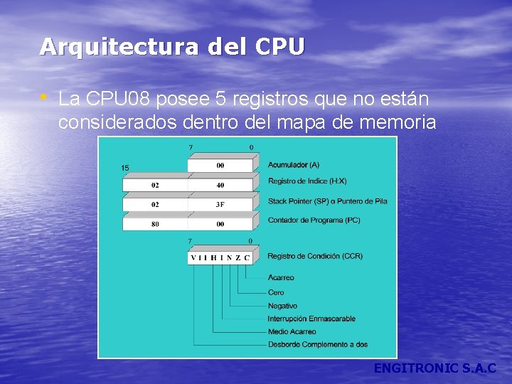 Arquitectura del CPU • La CPU 08 posee 5 registros que no están considerados