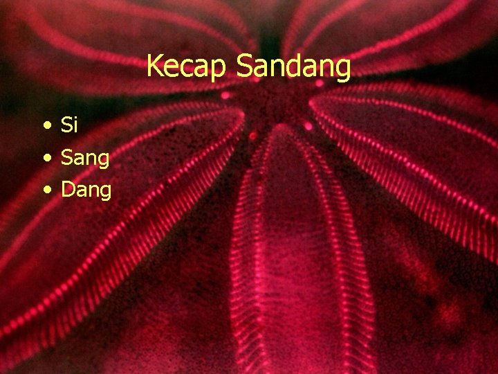 Kecap Sandang • Si • Sang • Dang 