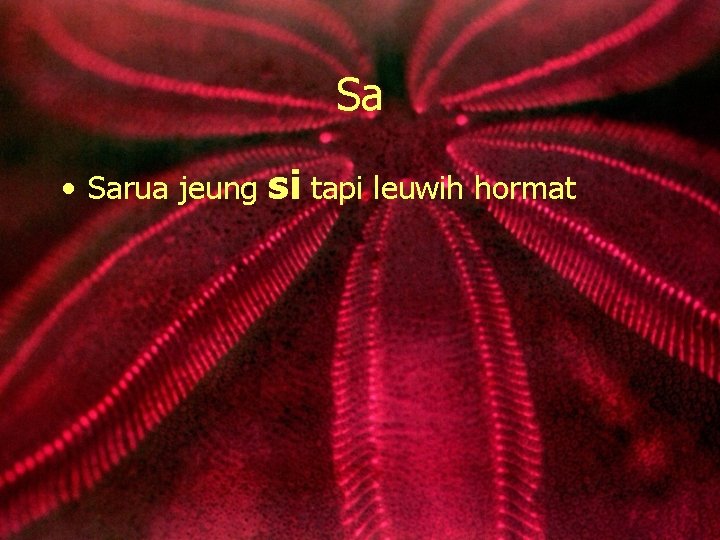 Sa • Sarua jeung si tapi leuwih hormat 