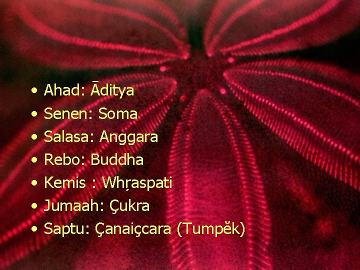  • • Ahad: Āditya Senen: Soma Salasa: Anggara Rebo: Buddha Kemis : Whŗaspati