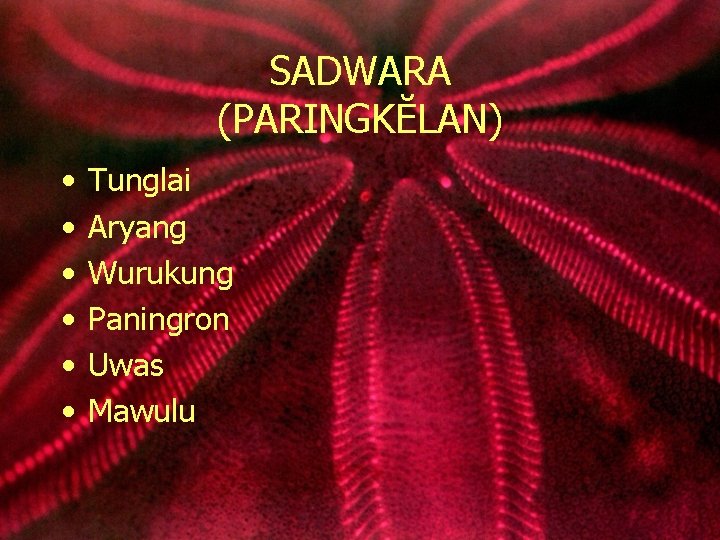 SADWARA (PARINGKĔLAN) • • • Tunglai Aryang Wurukung Paningron Uwas Mawulu 