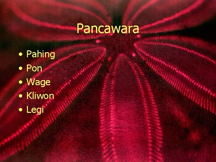 Pancawara • • • Pahing Pon Wage Kliwon Legi 