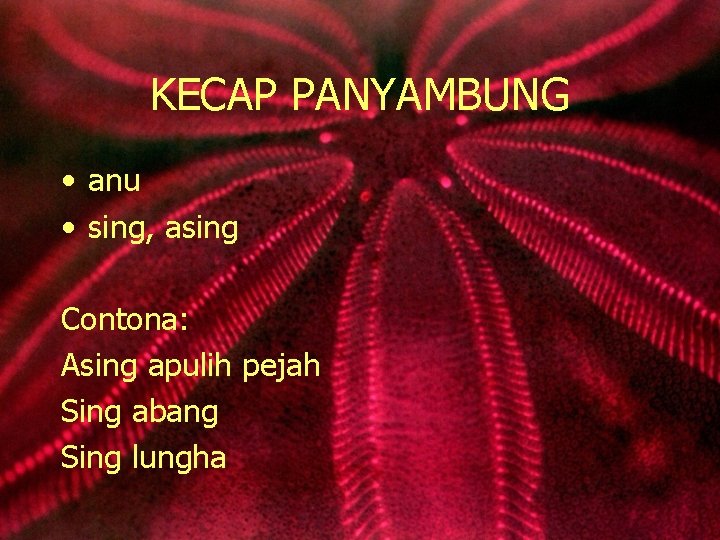 KECAP PANYAMBUNG • anu • sing, asing Contona: Asing apulih pejah Sing abang Sing