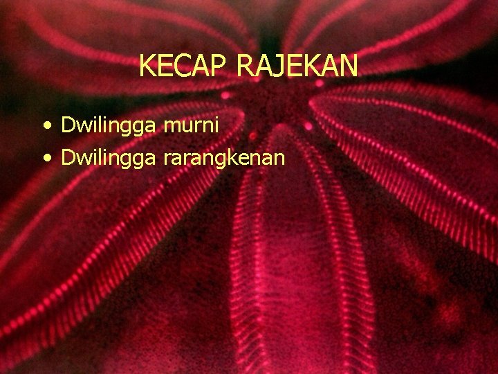 KECAP RAJEKAN • Dwilingga murni • Dwilingga rarangkenan 