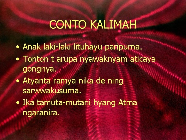 CONTO KALIMAH • Anak laki-laki lituhayu paripurna. • Tonton t arupa nyawaknyam aticaya gongnya.