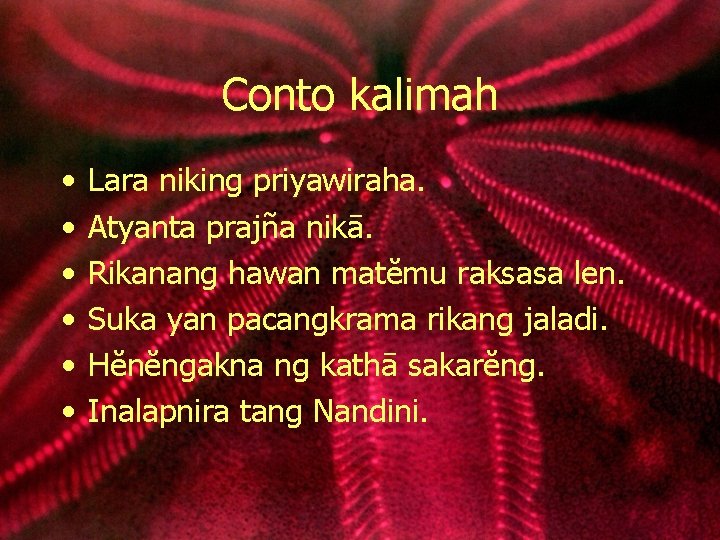 Conto kalimah • • • Lara niking priyawiraha. Atyanta prajña nikā. Rikanang hawan matĕmu