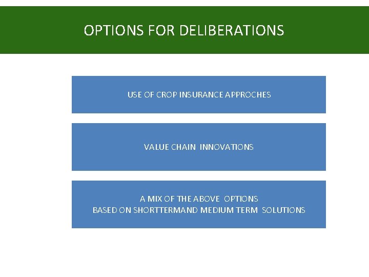 OPTIONS FOR DELIBERATIONS USE OF CROP INSURANCE APPROCHES VALUE CHAIN INNOVATIONS A MIX OF OPTIONS FOR DELIBERATIONS USE OF CROP INSURANCE APPROCHES VALUE CHAIN INNOVATIONS A MIX OF
