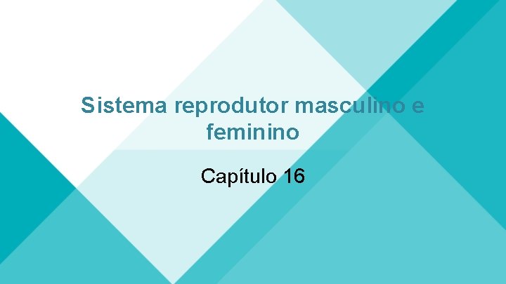 Sistema reprodutor masculino e feminino Capítulo 16 Sistema reprodutor masculino e feminino Capítulo 16