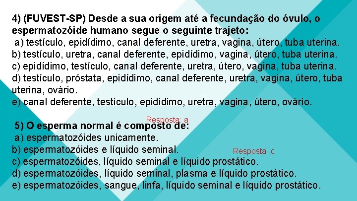4) (FUVEST-SP) Desde a sua origem até a fecundação do óvulo, o espermatozóide humano 4) (FUVEST-SP) Desde a sua origem até a fecundação do óvulo, o espermatozóide humano