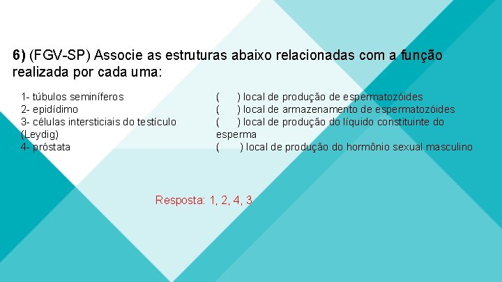 6) (FGV-SP) Associe as estruturas abaixo relacionadas com a função realizada por cada uma: 6) (FGV-SP) Associe as estruturas abaixo relacionadas com a função realizada por cada uma: