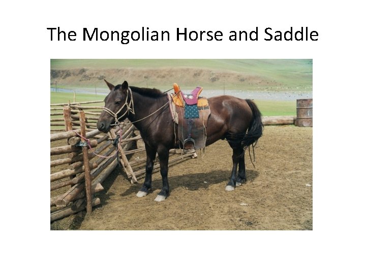 The Mongolian Horse and Saddle 